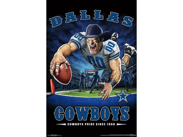Dallas Cowboys - End Zone Poster Print (22 x 34)