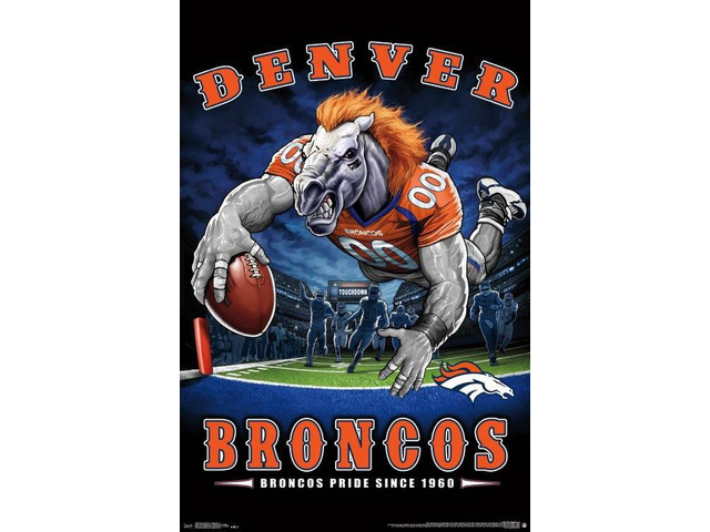 Denver Broncos - End Zone Poster Print (22 x 34)