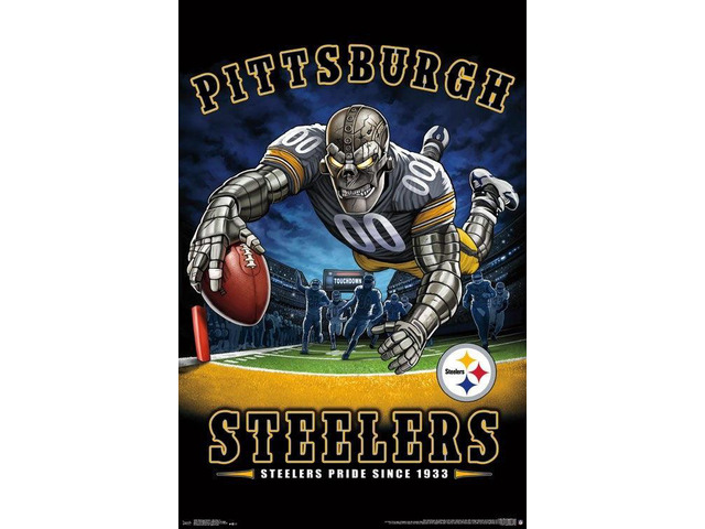 Pittsburgh Steelers - End Zone Poster Print (22 x 34)