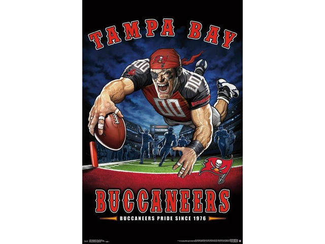 Tampa Bay Buccaneers - End Zone Poster Print (22 x 34)