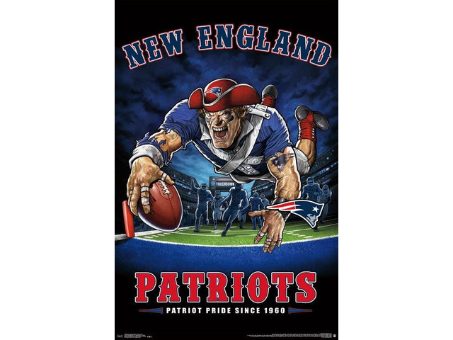 New England Patriots - End Zone Poster Print (22 x 34)