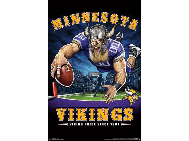 Minnesota Vikings - End Zone Poster Print (22 x 34)