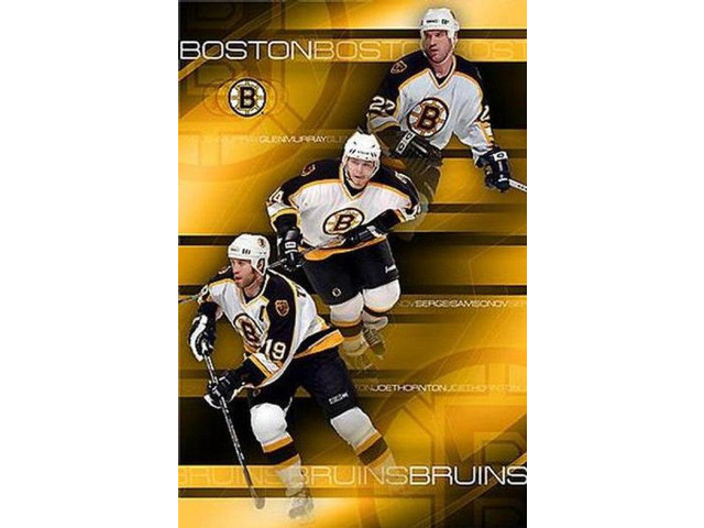 Bruins Team Poster Print By (22 X 34)