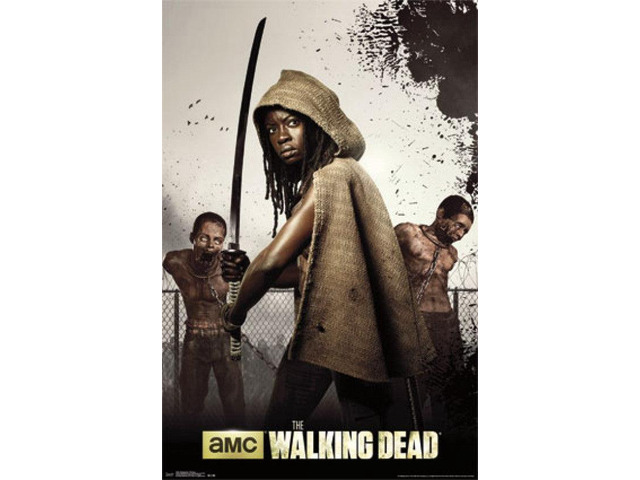 Walking Dead - Michonne Poster Print (22 x 34)