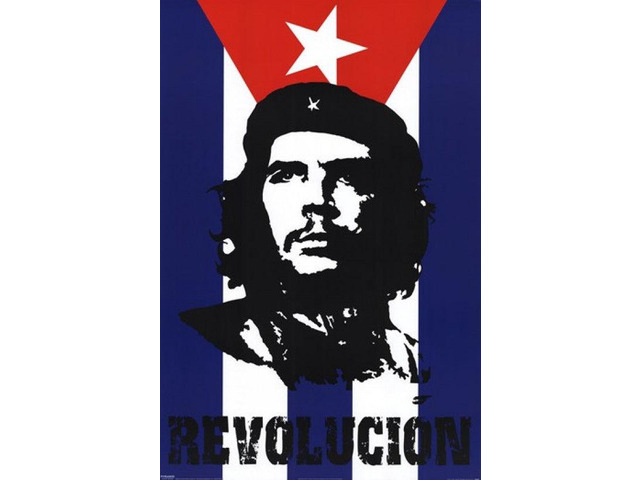 Che Guevara - Revolucion - Flag Poster Print (16 x 20)