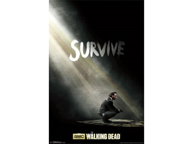 Walking Dead - Survive Poster Print (24 x 36)