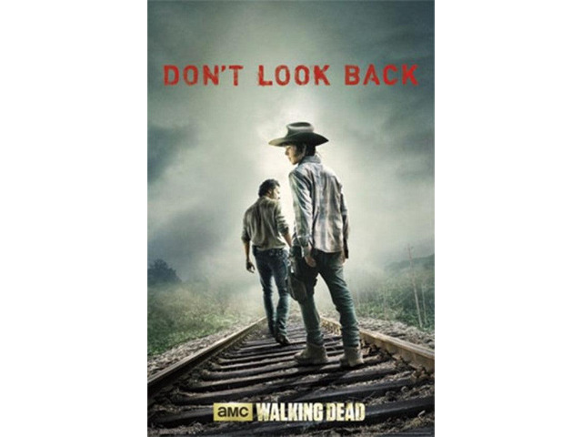 Walking Dead - Don't Look Back Poster Print (22 x 34)