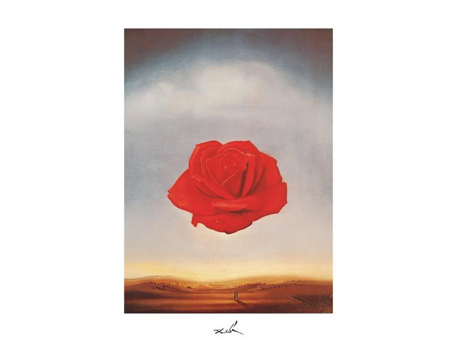 Meditative Rose, c.1958 Poster Print by Salvador Dali (11 x 14)
