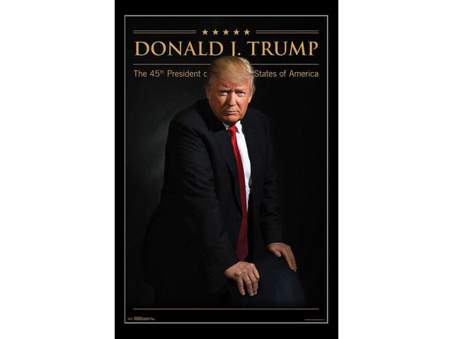 Donald Trump Poster Print (22 x 34)
