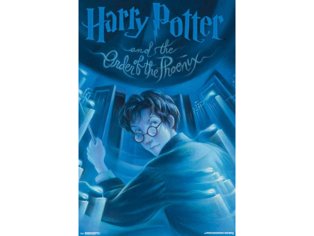 Harry Potter And The Order Of The Phoenix Poster Print (24 x 36)