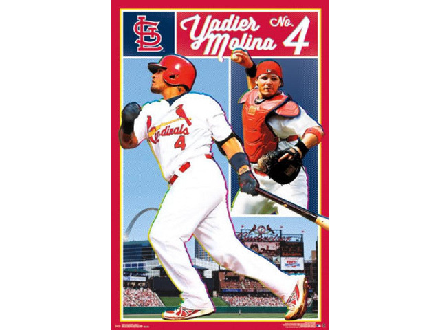 St. Louis Cardinals - Yadier Molina 16 Poster Print (22 x 34)