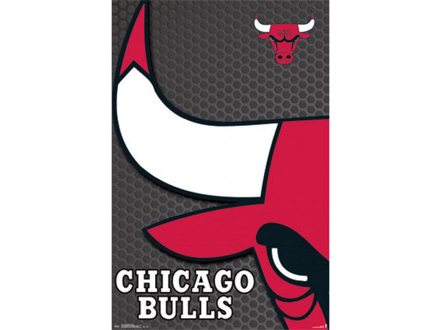 Chicago Bulls - Logo 2014 Poster Print (22 x 34)
