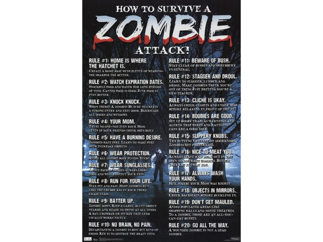 Zombies - How to Survive Poster Print (24 x 36)