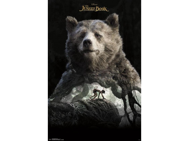 The Jungle Book - Baloo Poster Print (22 x 34)