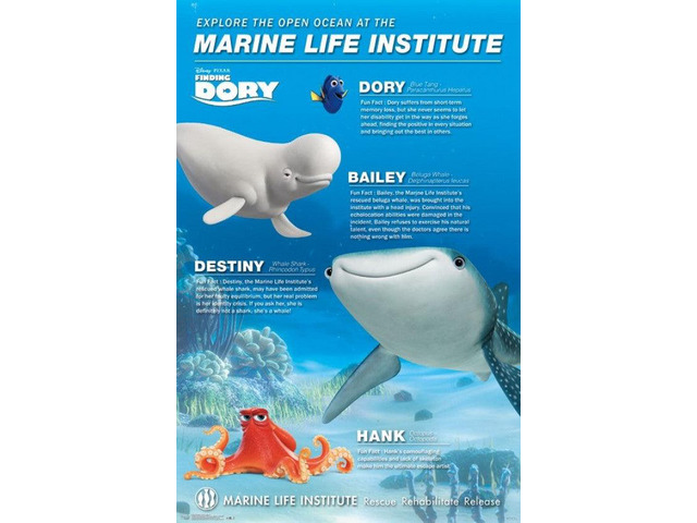 Finding Dory - Group Poster Print (22 x 34)