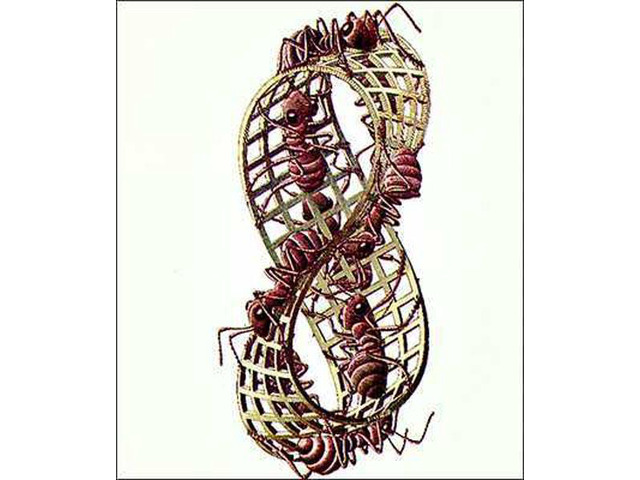 Mobius Strip Poster Print by M. C. Escher (22 x 26)