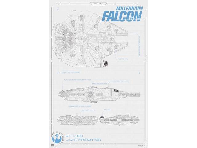 Star Wars Millennium Falcon Poster Poster Print (24 x 36)