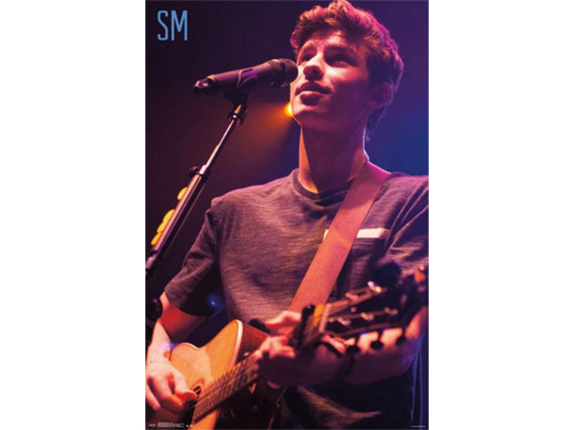 Shawn Mendes - Live Poster Print (24 x 36)