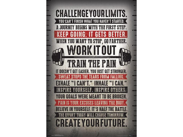 Challenge Your Limits Poster Print (22 x 34)
