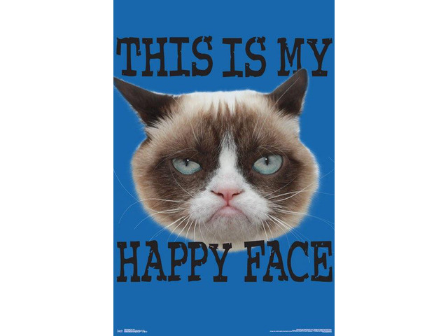 Grumpy Cat - Face Poster Print (22 x 34)