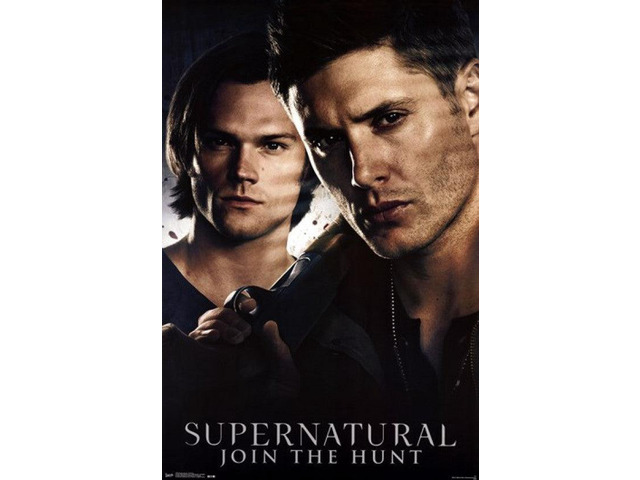 Supernatural - Brothers Poster Print (22 x 34)