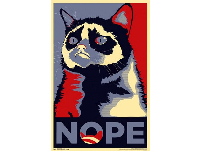 Grumpy Cat - Nope Poster Print (24 x 36)