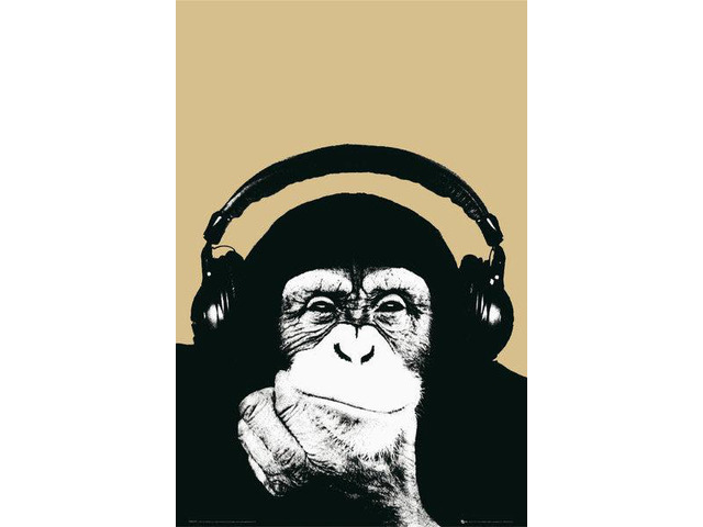 Steez Monkee Poster Print (22 x 34)