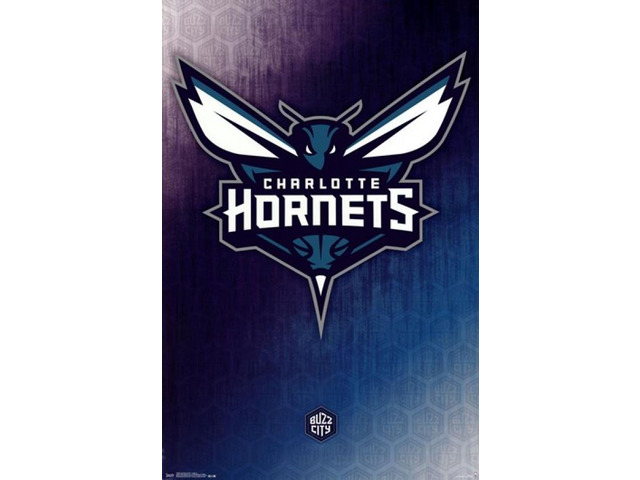 Charlotte Hornets - Logo 2014 Poster Print (22 x 34)