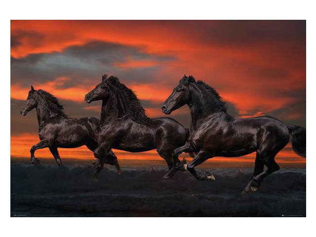 Bob Langrish Fantasy Horses Poster Print (22 x 34)