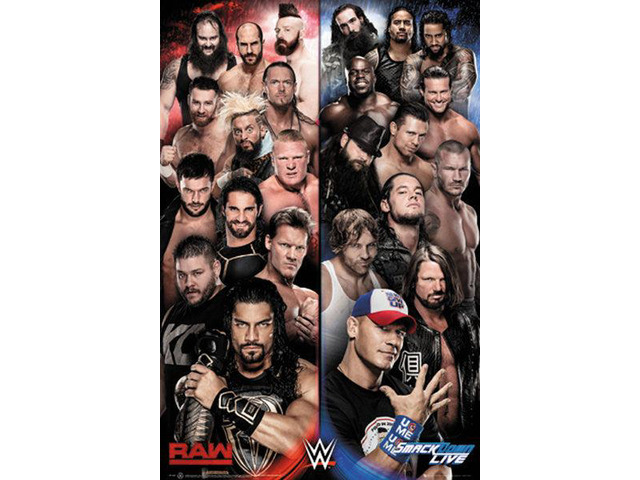 Wwe Raw V Smackdown Poster Print (22 x 34)