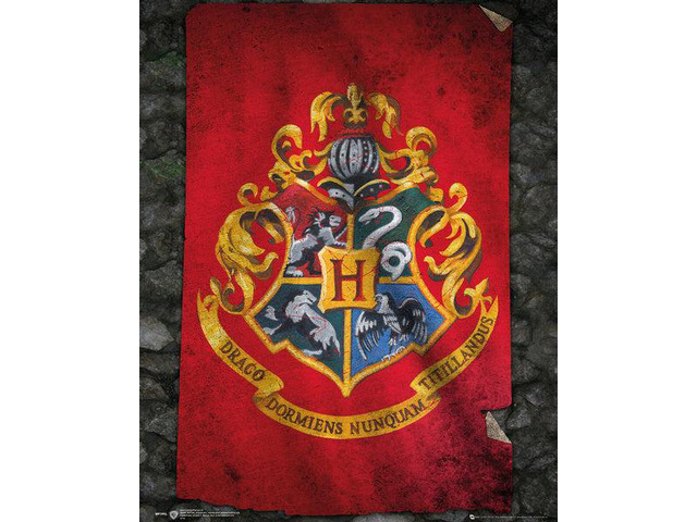 Harry Potter Hogwarts Flag Poster Print (16 x 20)