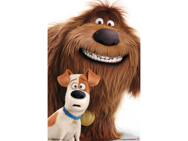 Secret Life of Pets - Duo Poster Print (22 x 34)