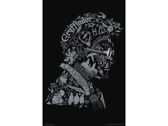 Harry Potter - Graphic Potter Poster Print (22 x 34)
