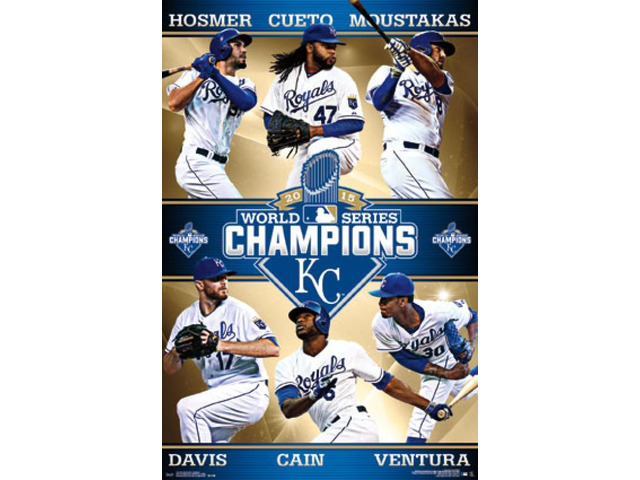 2015 World Series - Champions Poster Print (22 x 34)