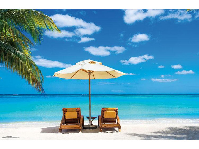 Tropical Retreat Poster Print (34 x 22)
