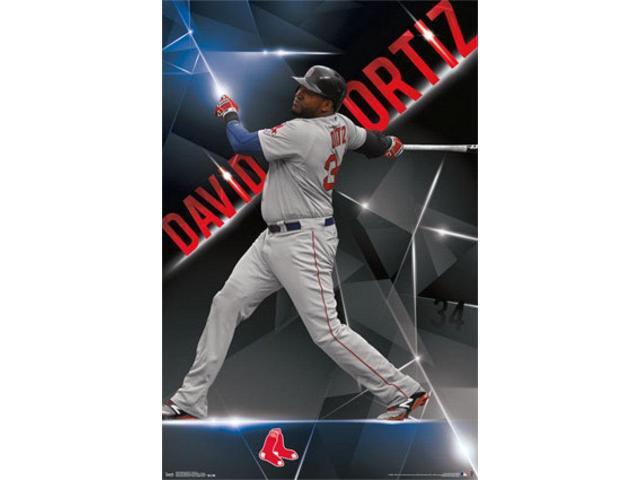 Boston Red Sox - David Ortiz 2015 Poster Print (22 x 34)