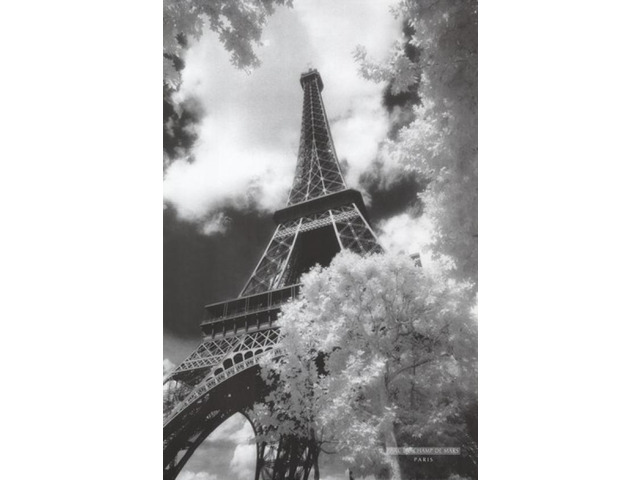 Parc du Champ de Mars, Paris Poster Print (22 x 34)