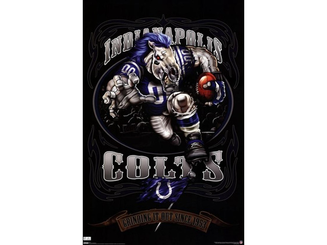 Indianapolis Colts - Running Back 2009 Poster Print (24 x 36)