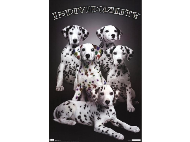Puppy - Individuality Poster Print (24 x 36)
