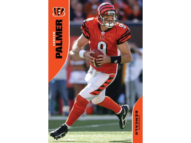 Cincinnati Bengals - Carson Palmer Poster Print (24 x 36)
