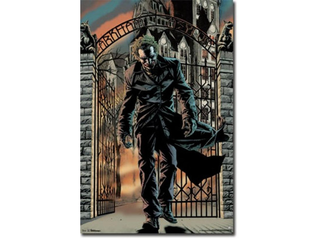 Joker - Arkham Asylum Poster Print (24 x 36)