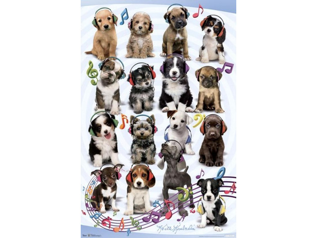 Puppy - Headphones Poster Print (22 x 34)