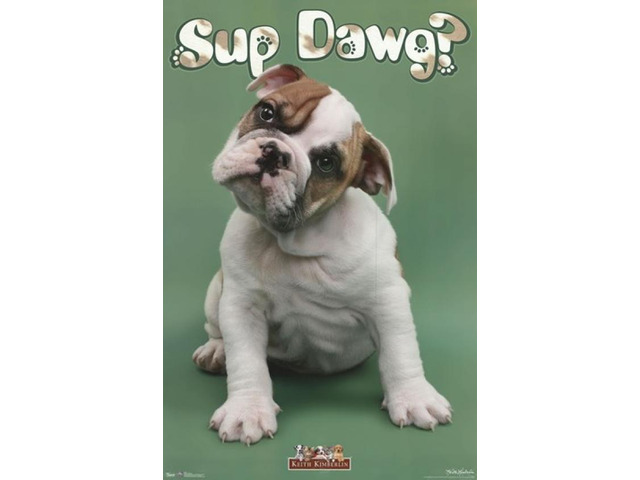 Puppy - Sup Dawg Poster Print (24 x 36)