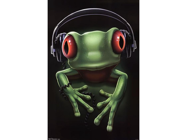 Frog Rock Poster Print (24 x 36)