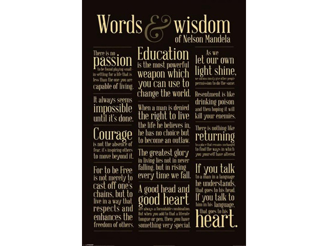 Nelson Mandela - Words of Wisdom Poster Print (24 x 36)