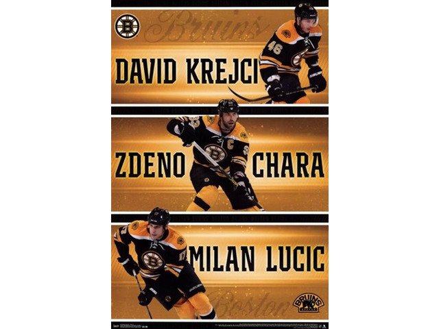 Boston Bruins - Team 2013 Poster Print (24 x 36)