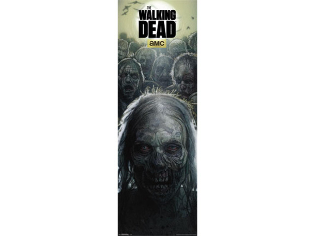 Walking Dead - Zombies - Door Poster Print (21 x 62)