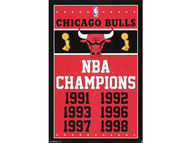 Chicago Bulls - Champions 2013 Poster Print (22 x 34)