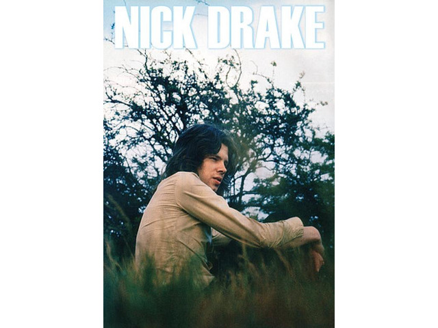 Nick Drake Field Poster Print (22 x 34)