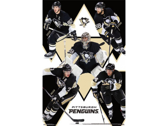 Pittsburgh Penguins - Group 14 Poster Print (22 x 34)